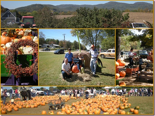 PumpkinPatch