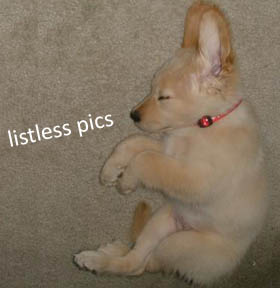 Listless Pics Listless Pics