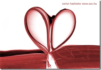 amore-studio