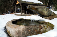 IMG_1180.jpg (Waldkirch, Bavaria, Germany) Photo IMG_1180.jpg (Waldkirch, Bavaria, Germany) Photo