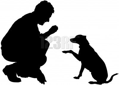 [perro[4].jpg]