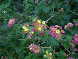 P1030093.JPG