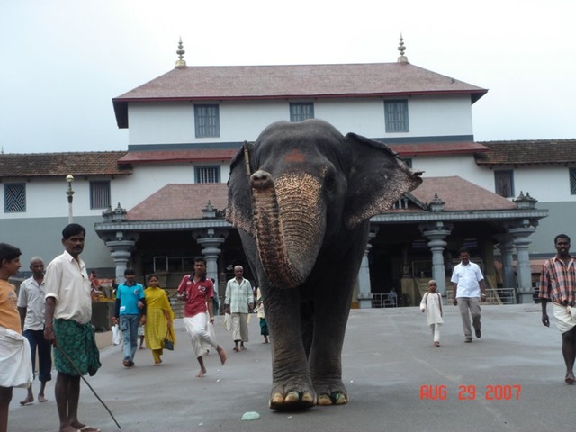[Sri Dharmasthala Manjunatheshwara Temple , Dharmasthala (75 kms from Mangalore), Karnataka[3].jpg]