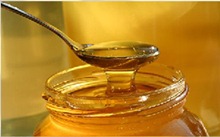 honey honey