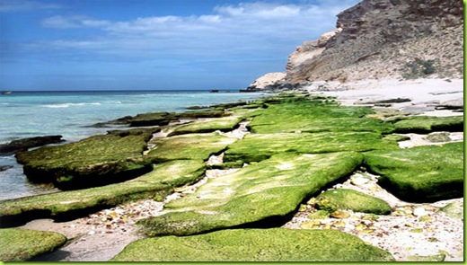 green-beach-socrota