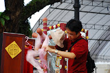 DSC_4240.JPG