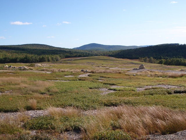 [P9190855[2].jpg]