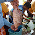 P1060346, Palawan, Puerto Princesa, Honda Bay, Pandan Island.JPG, P1060346, Palawan, Puerto Princesa, Honda Bay, Pandan Island.JPG, Philippines 2 Palawan