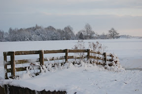 "Het kleine Paradijs" "natuur in de omgeving" winter