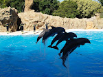 Tenerife_oly 137.jpg