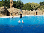 Tenerife_oly 156.jpg