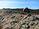 kornskurdur 036.jpg