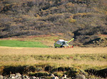 kornskurdur 008.jpg