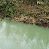 DSC01953.JPG