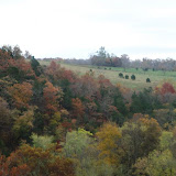 DSC01971.JPG