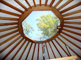 The ceiling