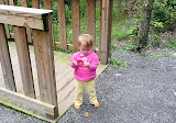 Checking something out