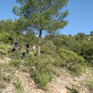 DSC05882.JPG