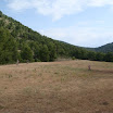 DSC06661.JPG