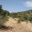 DSC06927.JPG