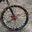 SDC11441.JPG