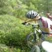 33508_134250696618363_100001003011269_174090_2256554_n.jpg