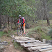 DSC08788.JPG