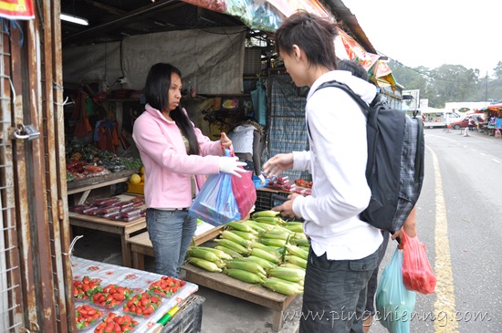 [DSC_09282.jpg]