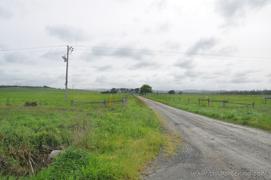 [DSC_56103.jpg]