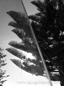 P9200092