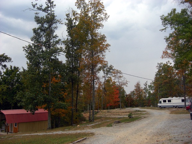 [CIMG52574.jpg]