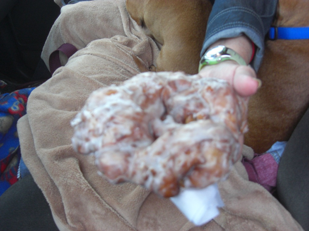 [Apple-Fritter4.jpg]