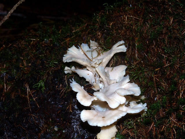[PA064329[3].jpg]