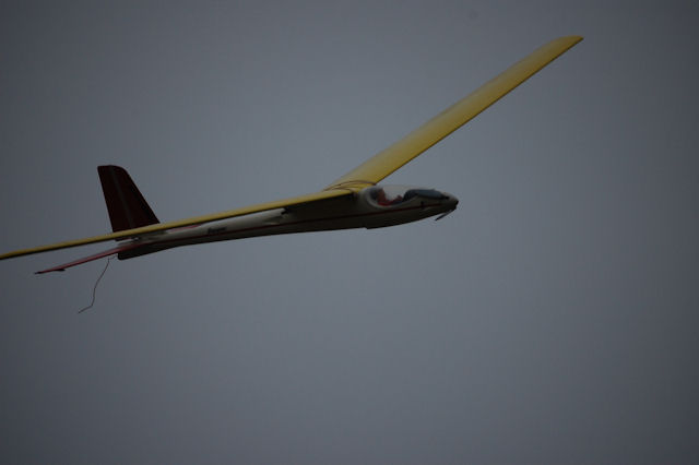 DSC_8139.JPG