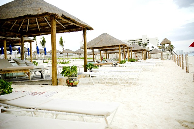 [DSC_5487[10].jpg]
