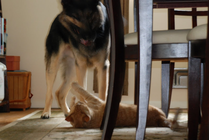 Kaiser and Darren playing Kaiser and Darren Play Time