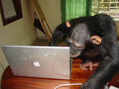 Monkey user