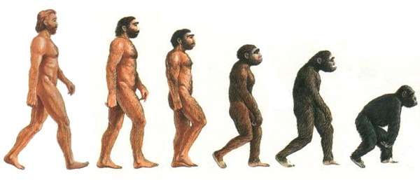 Evoluzione