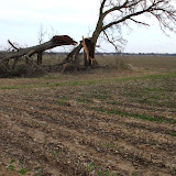 Farm Storm Damage - 2008