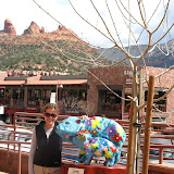 In town with the blue artsy pig..