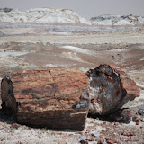 Painted Desert Petrified Forest