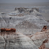 Painted Desert Petrified Forest