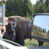 Hey buddy, getting a little close don't you think?