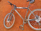 My Mountain Bike after the ride