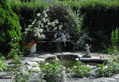 [beskj_rt_og_komprimert_CIMG0557[3].jpg]