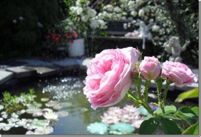 [dammen vår BESKJR~1_thumb[1]_thumb[1][4].jpg]