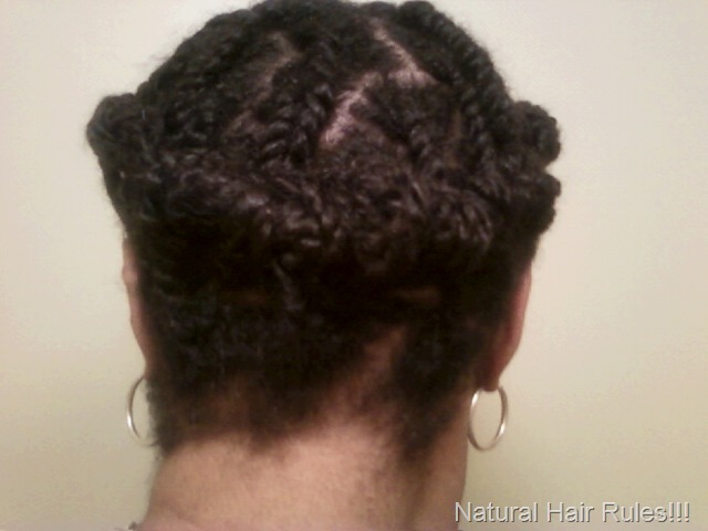 [Two-Strand Twist Updo, back[13].jpg]
