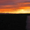 DSC_0181.JPG