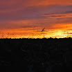 DSC_0182.JPG