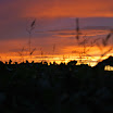 DSC_0183.JPG